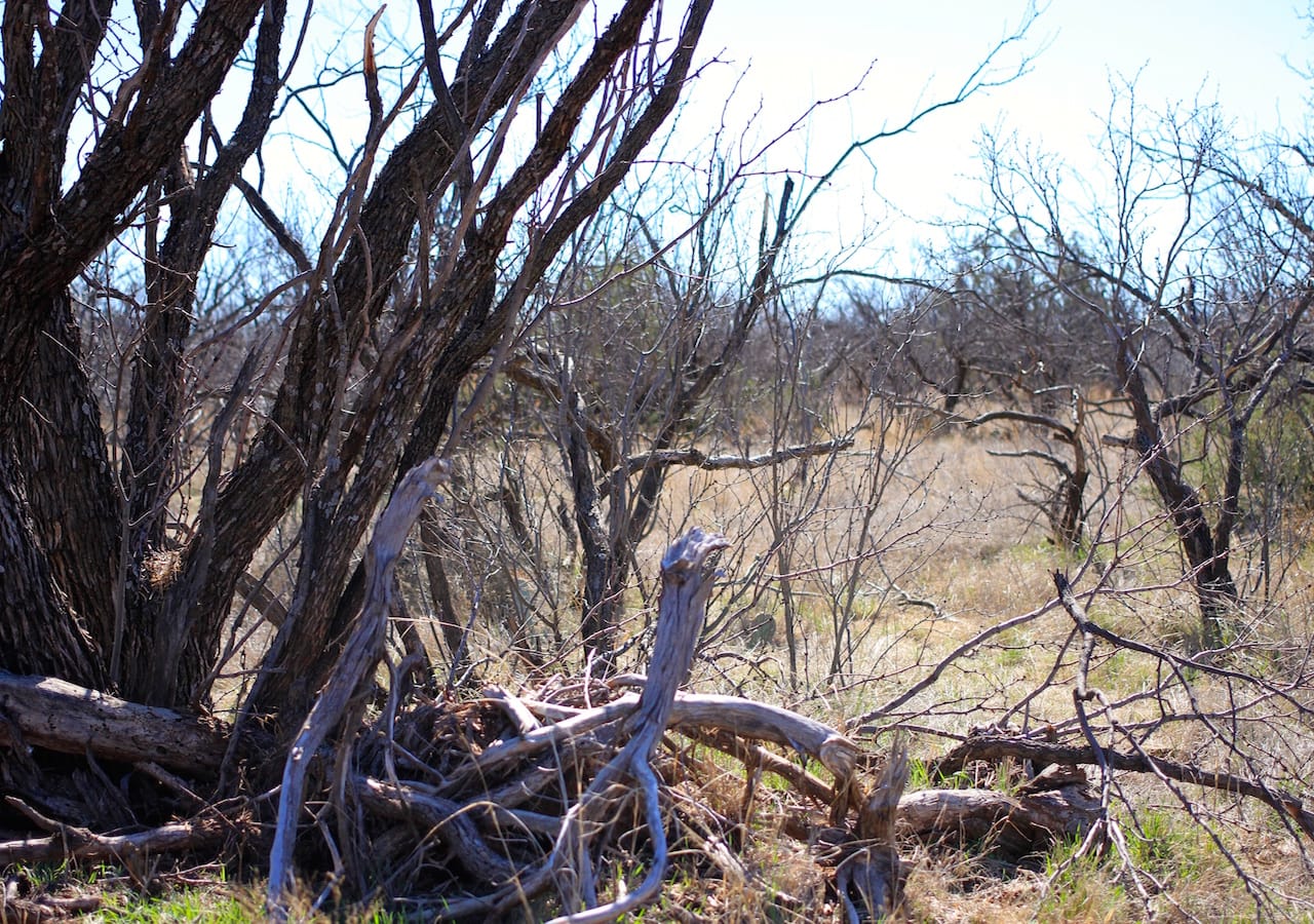 Red Rock Ranch Tract 3 photo 28