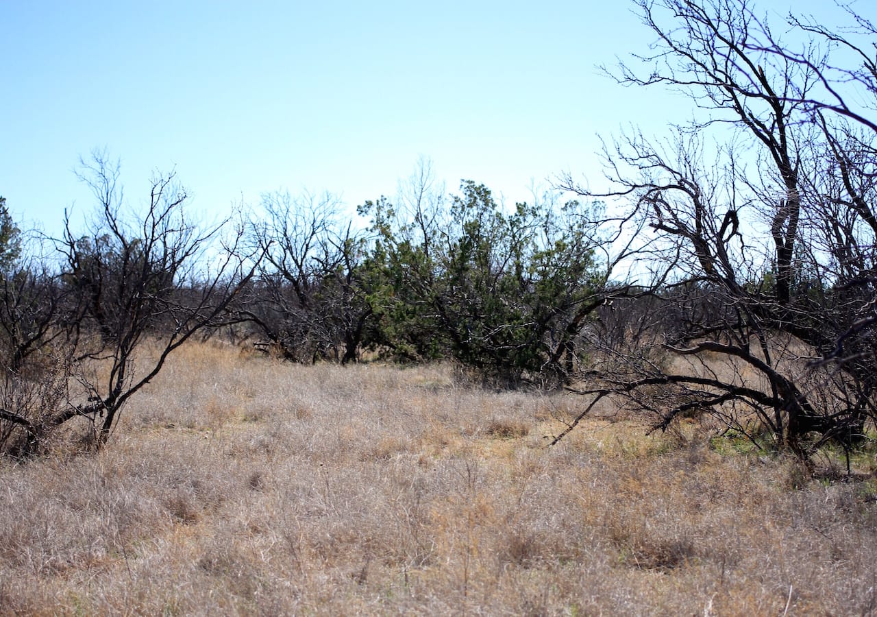 Red Rock Ranch Tract 3 photo 29