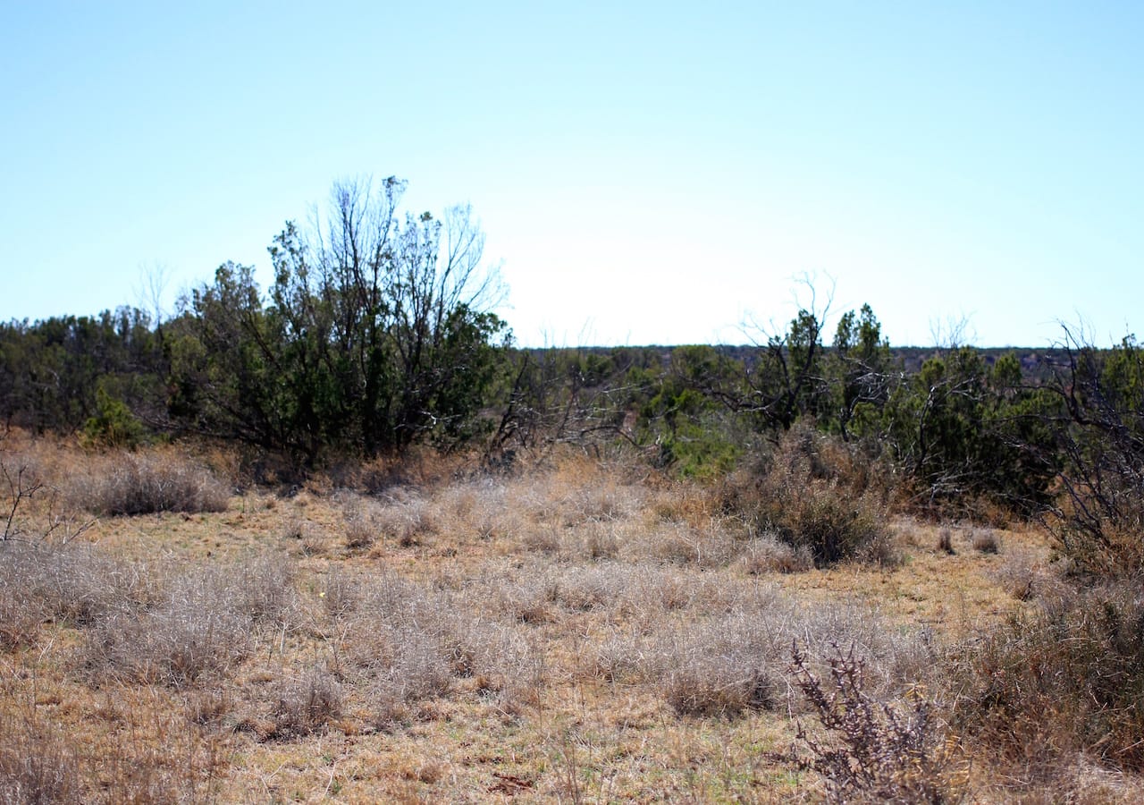 Red Rock Ranch Tract 3 photo 30