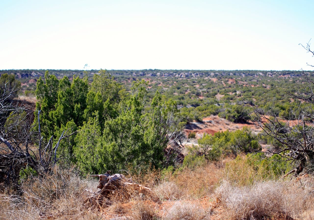 Red Rock Ranch Tract 3 photo 31