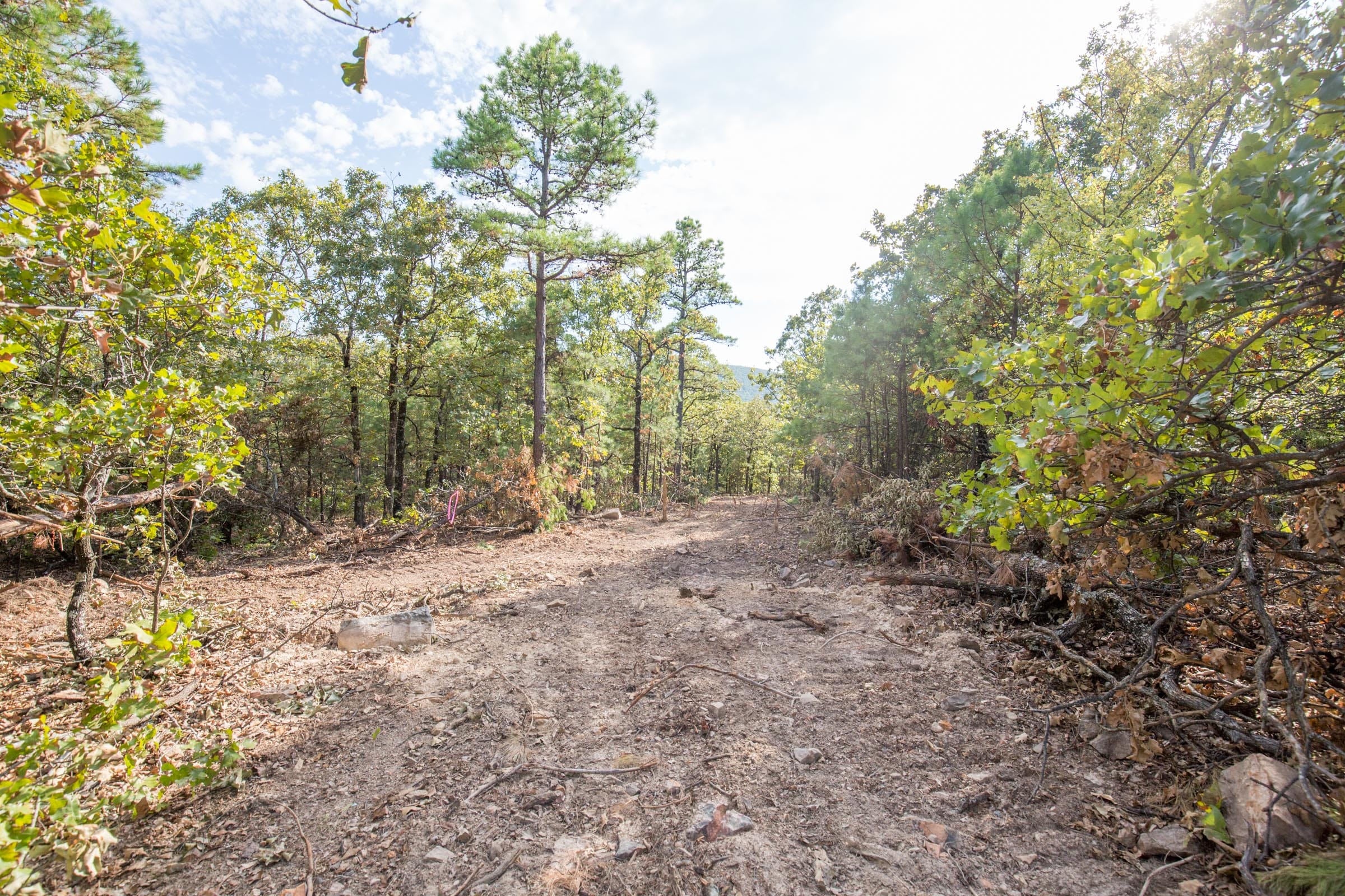 Stone Bridge Phase I Tract 62 photo 4