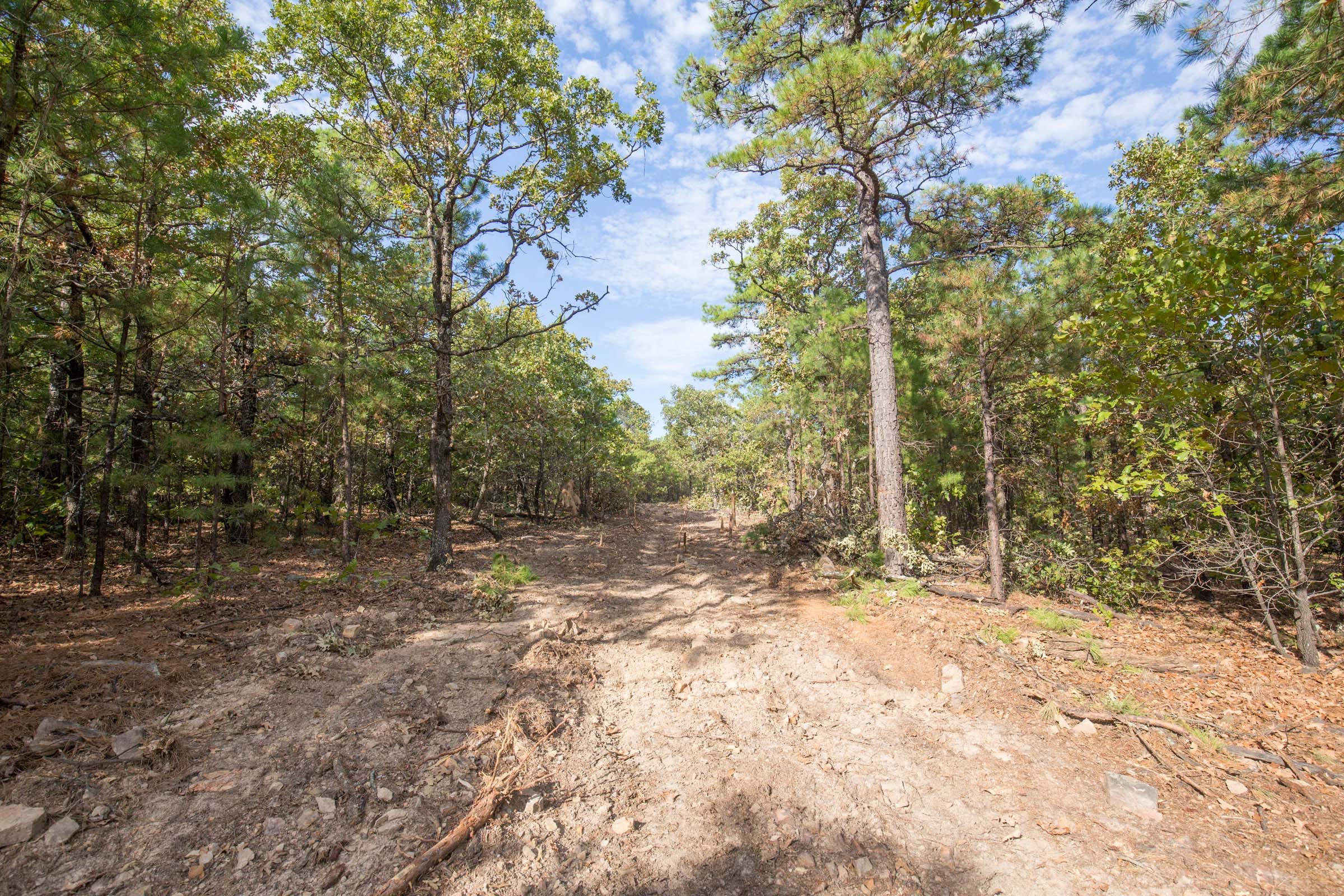 Stone Bridge Phase I Tract 62 photo 5