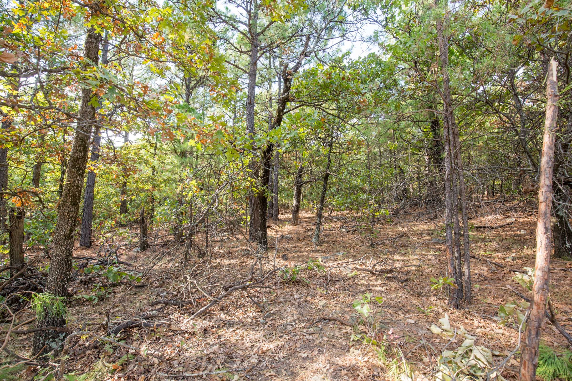 Stone Bridge Phase I Tract 62 photo 7