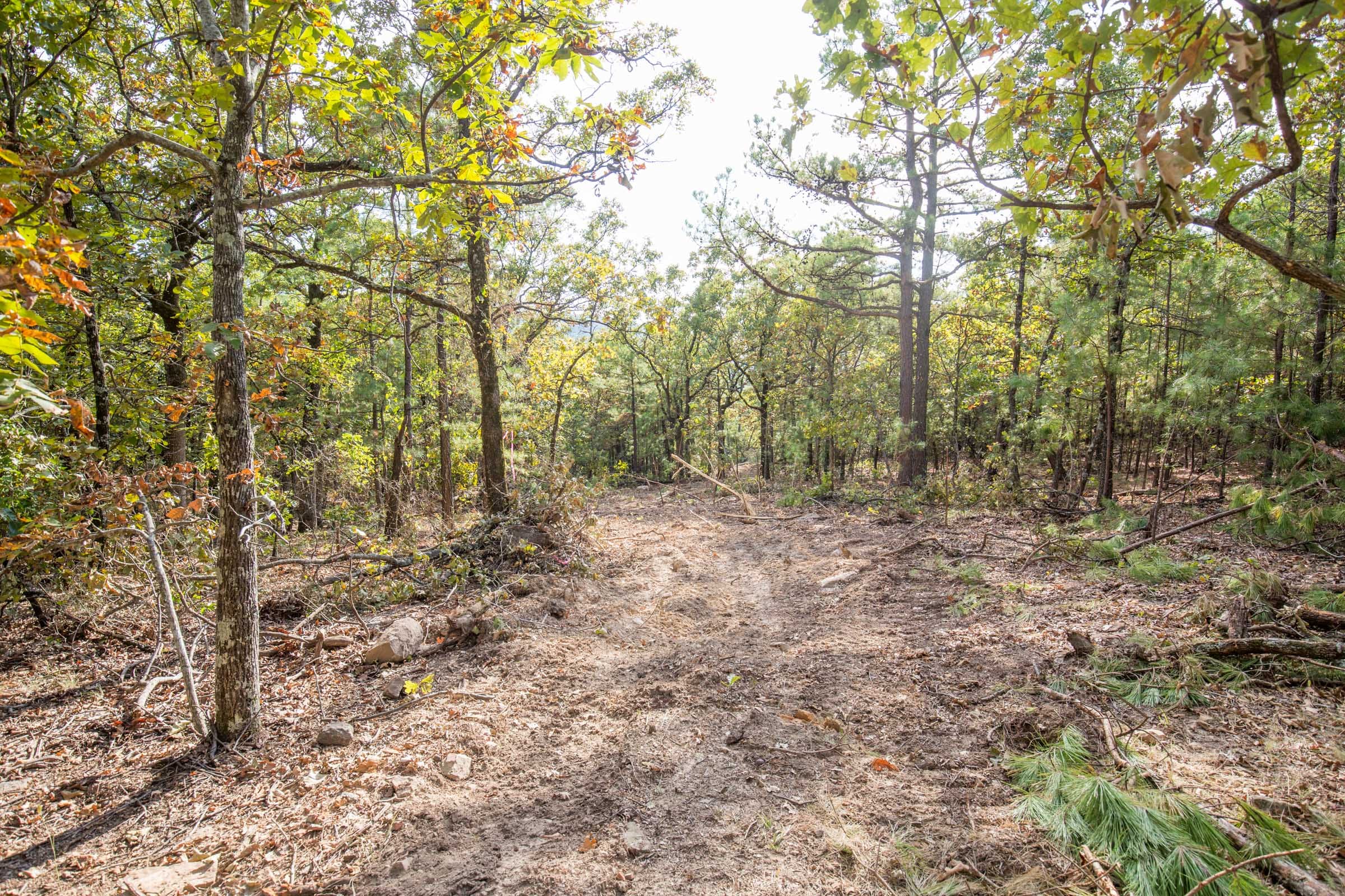 Stone Bridge Phase I Tract 62 photo 11