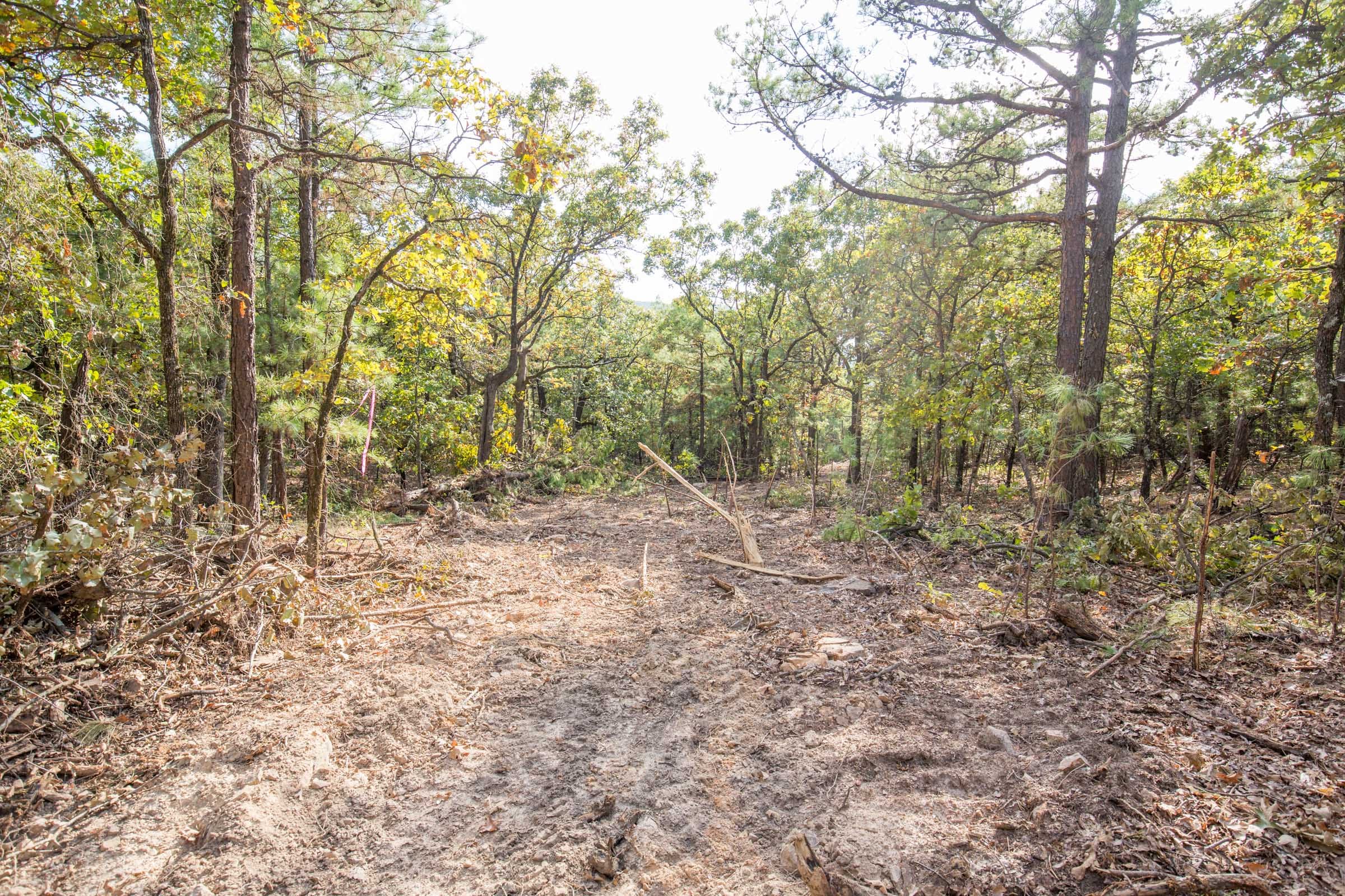 Stone Bridge Phase I Tract 62 photo 12
