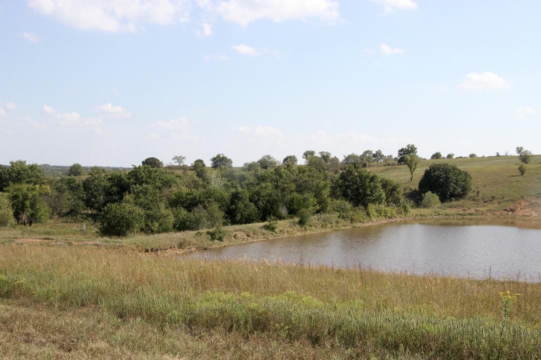 Cowboy Meadows Tract 25 photo 3