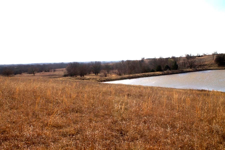 Cowboy Meadows Tract 25 photo 5