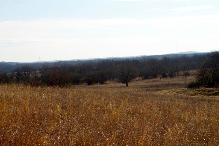 Cowboy Meadows Tract 25 photo 7