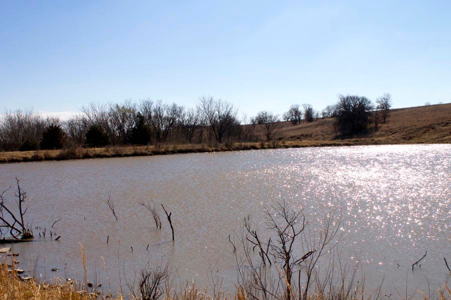 Cowboy Meadows Tract 25 photo 9