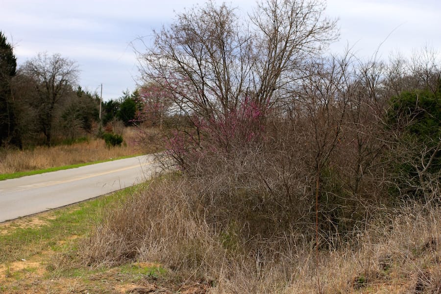 Montgomery Ranch Tract 21 photo 3
