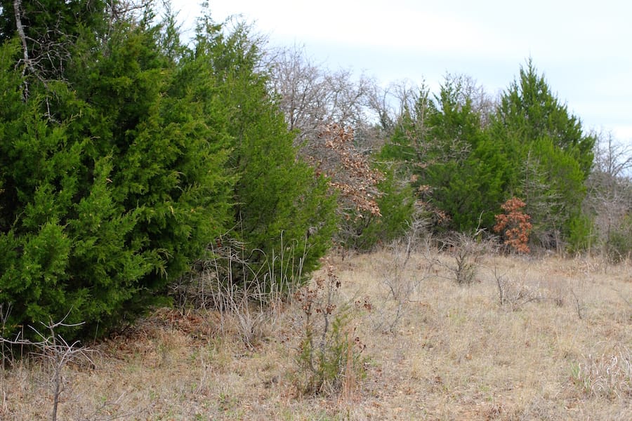 Montgomery Ranch Tract 21 photo 5