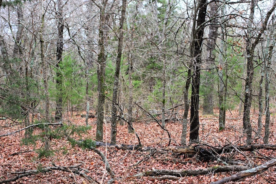 Montgomery Ranch Tract 21 photo 12