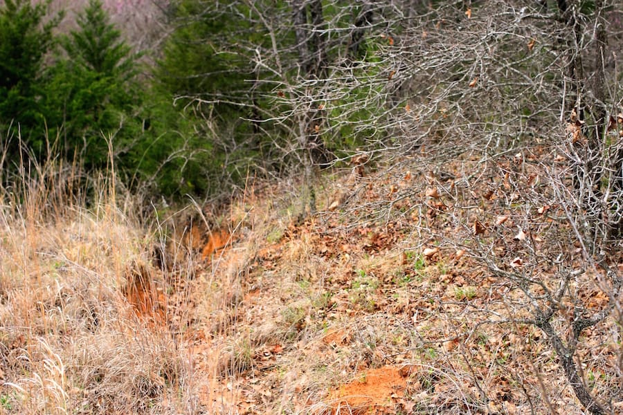 Montgomery Ranch Tract 21 photo 14