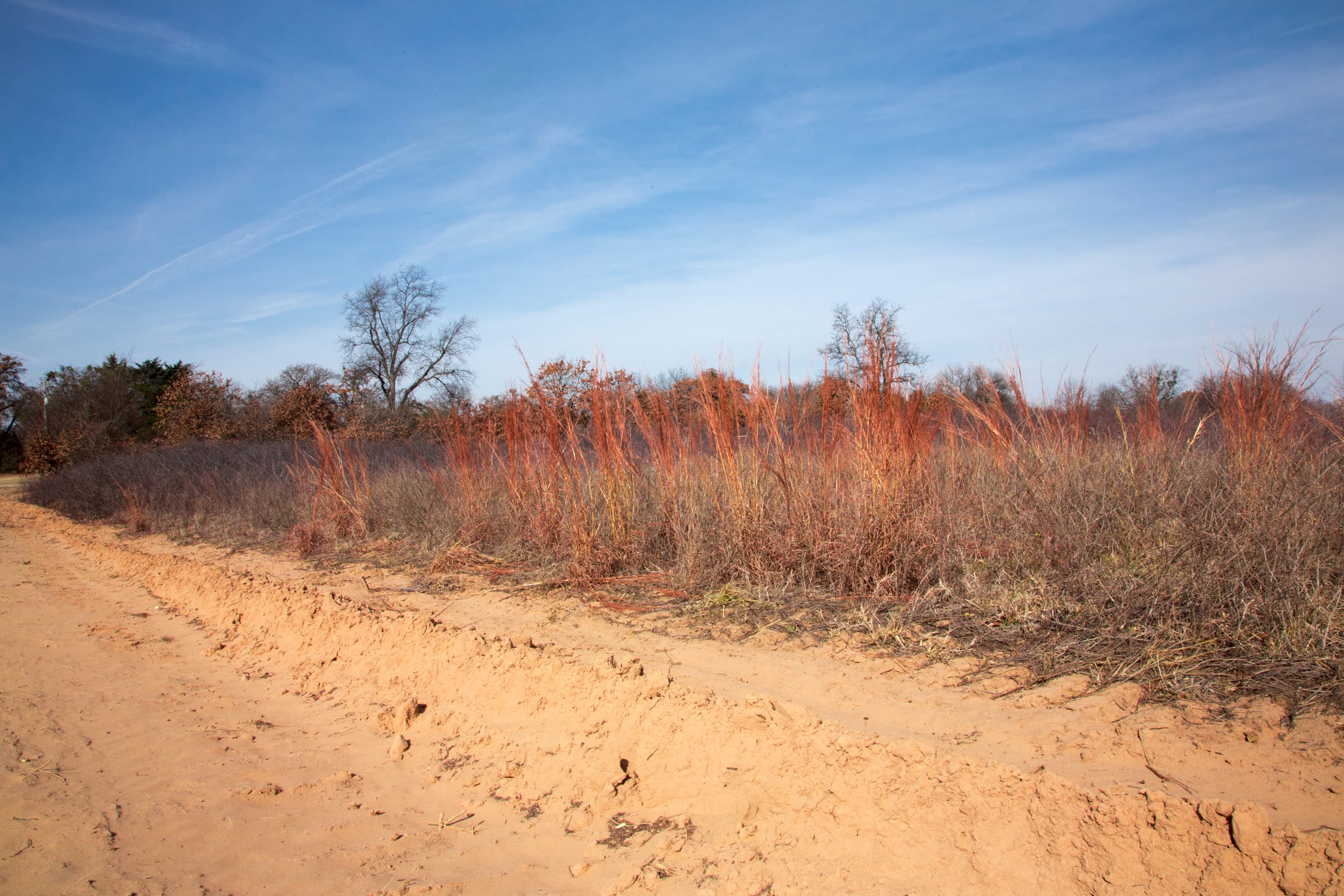 Legacy Ranch Tract 4 photo 10