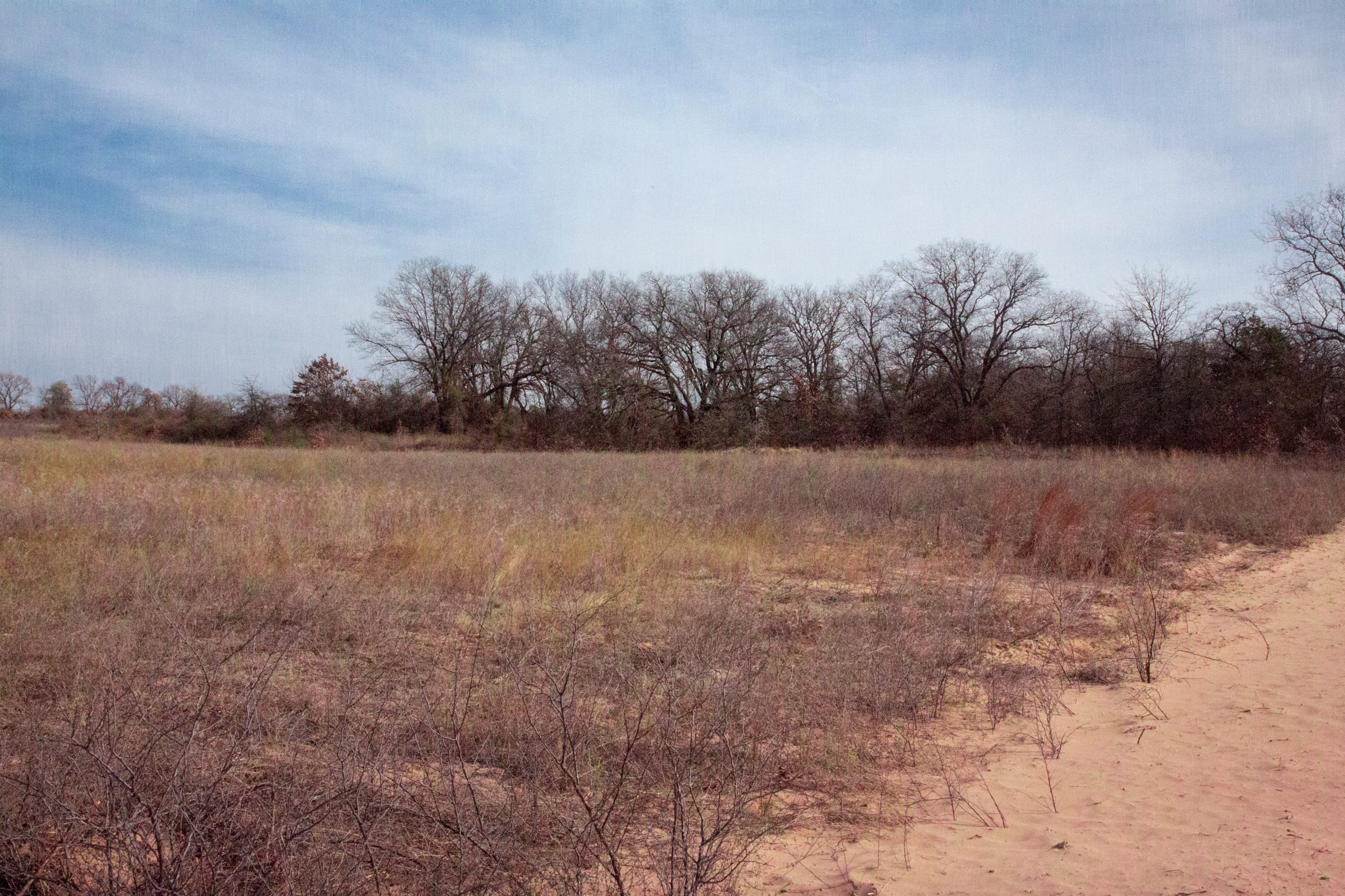Legacy Ranch Tract 4 photo 13