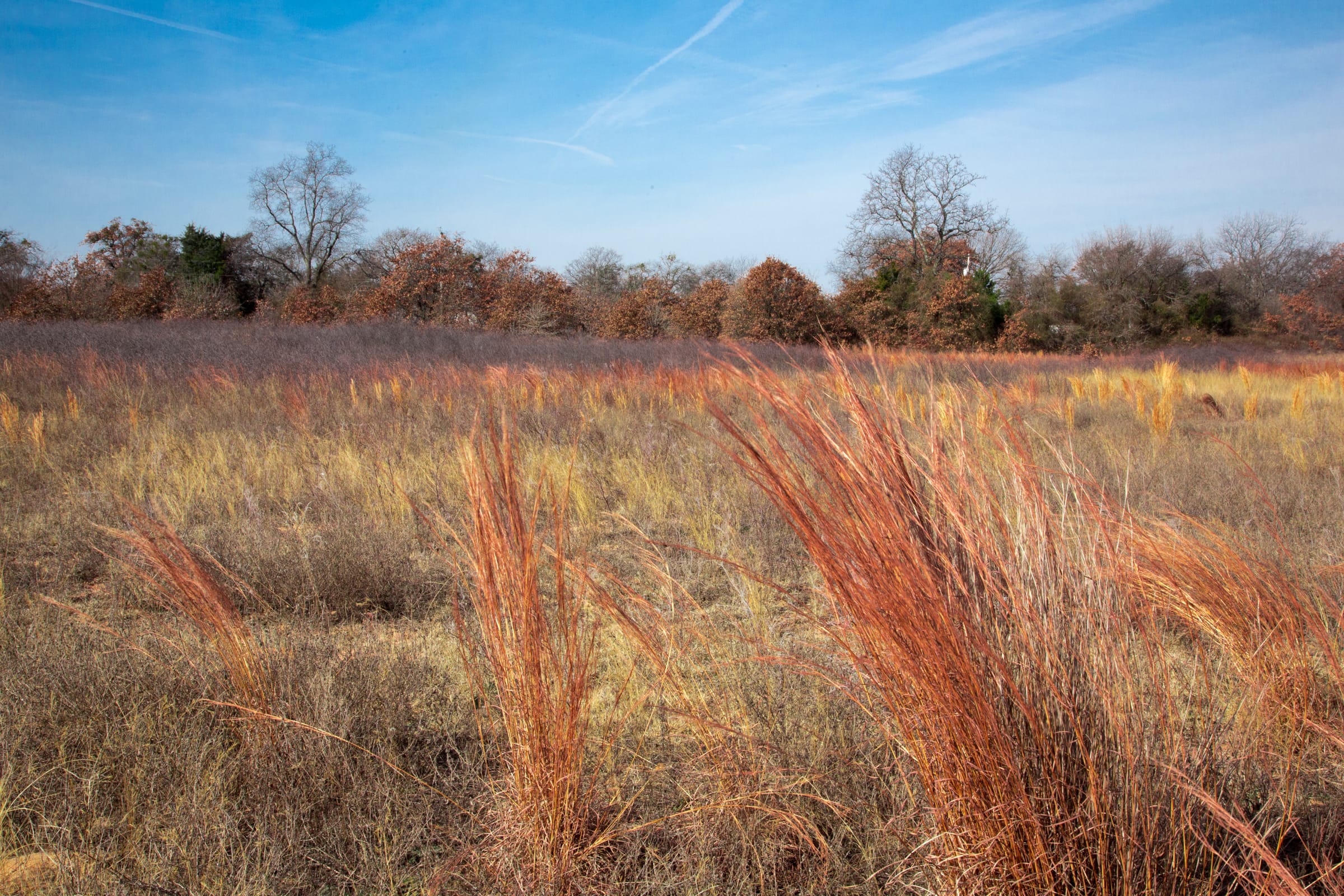 Legacy Ranch Tract 4 photo 16