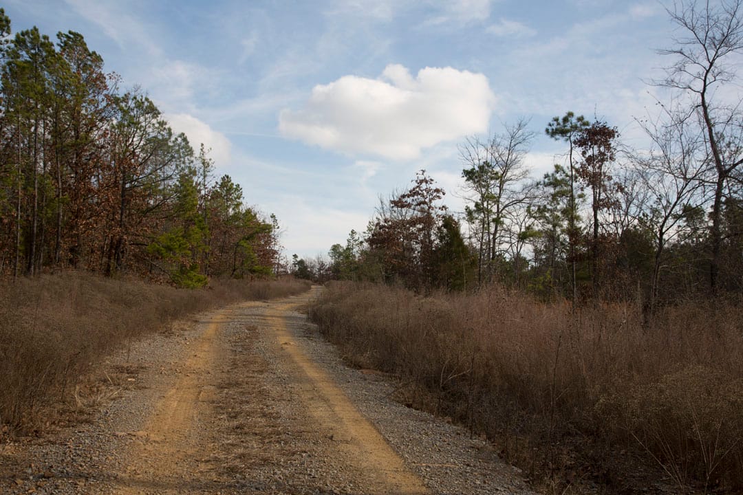 Stone Creek Phase III Tract 76 photo 2