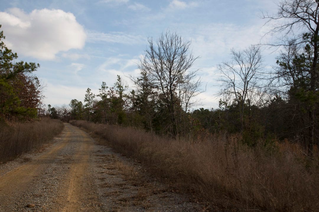Stone Creek Phase III Tract 76 photo 4