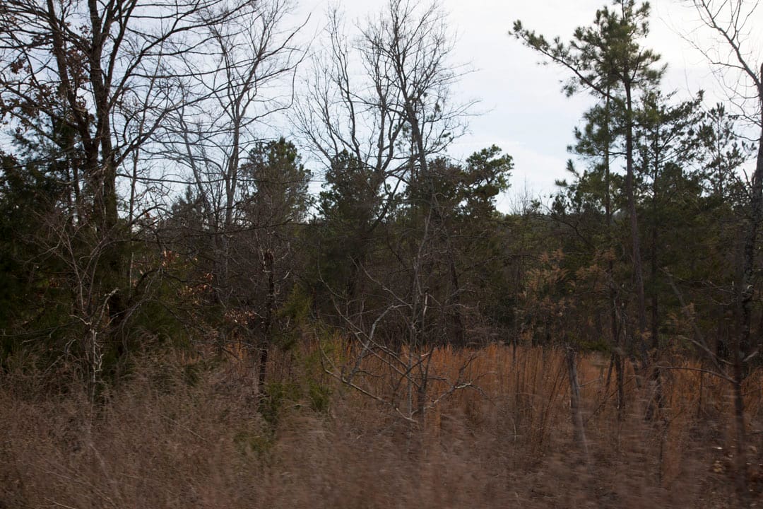 Stone Creek Phase III Tract 76 photo 5
