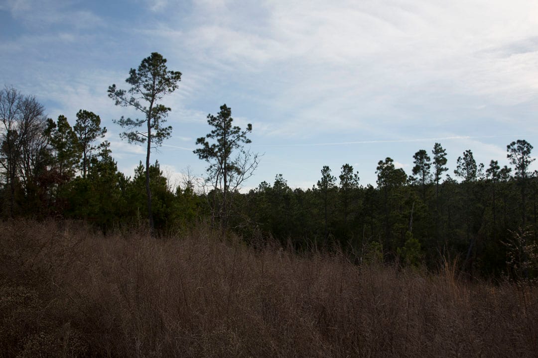 Stone Creek Phase III Tract 76 photo 7