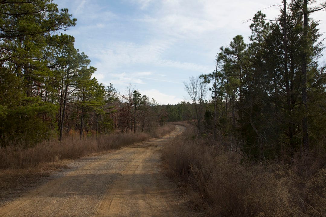 Stone Creek Phase III Tract 76 photo 8