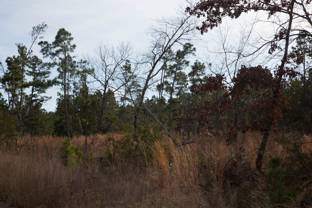 Stone Creek Phase III Tract 76 photo 9
