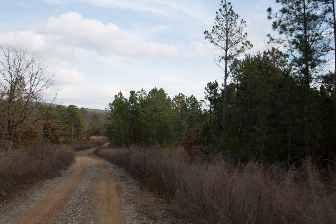Stone Creek Phase III Tract 76 photo 11