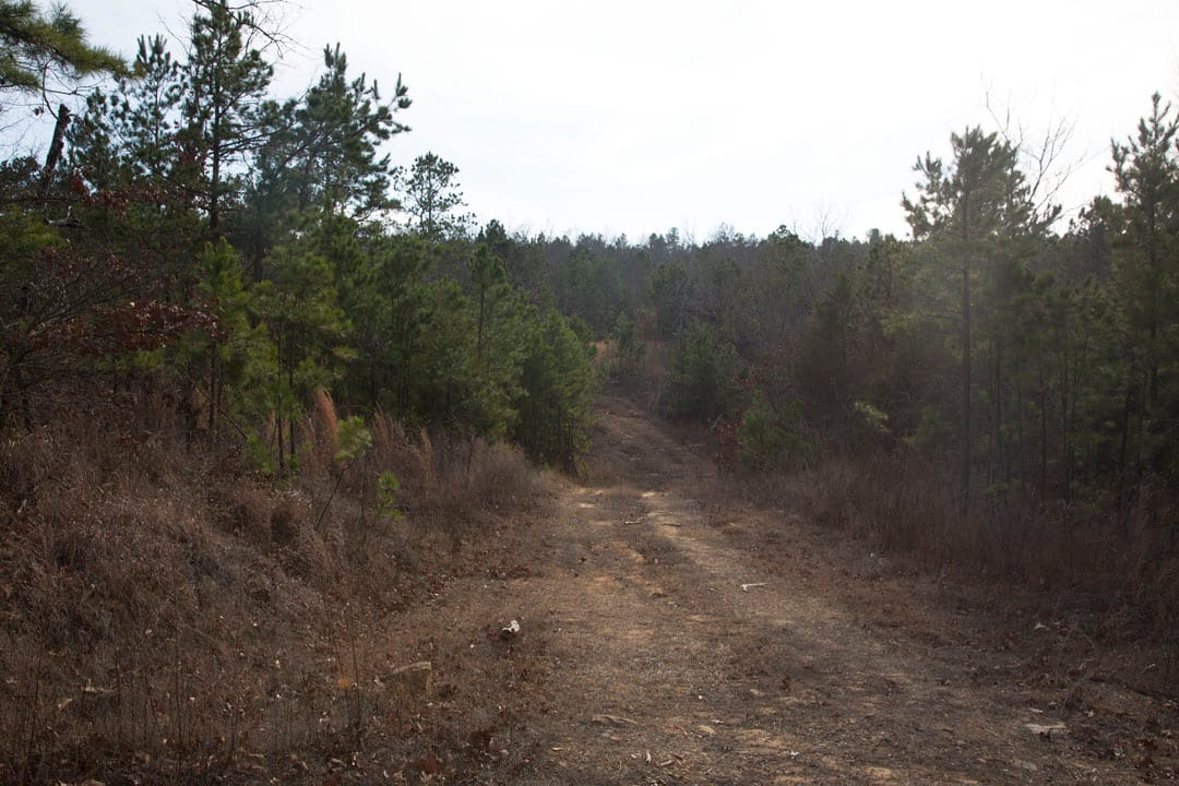 Stone Creek Phase III Tract 76 photo 13