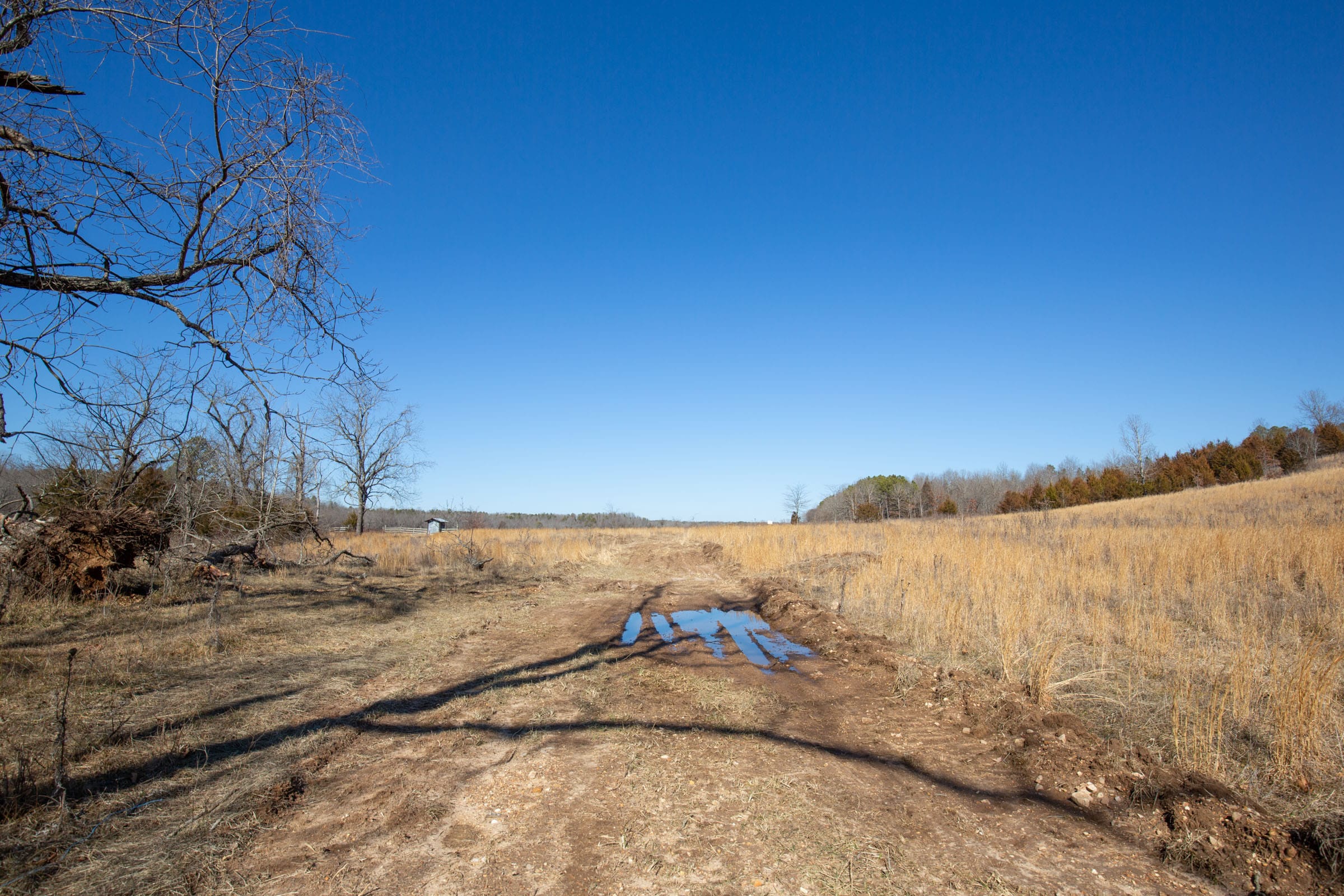 O’Connor Crossing Tract 15 photo 2