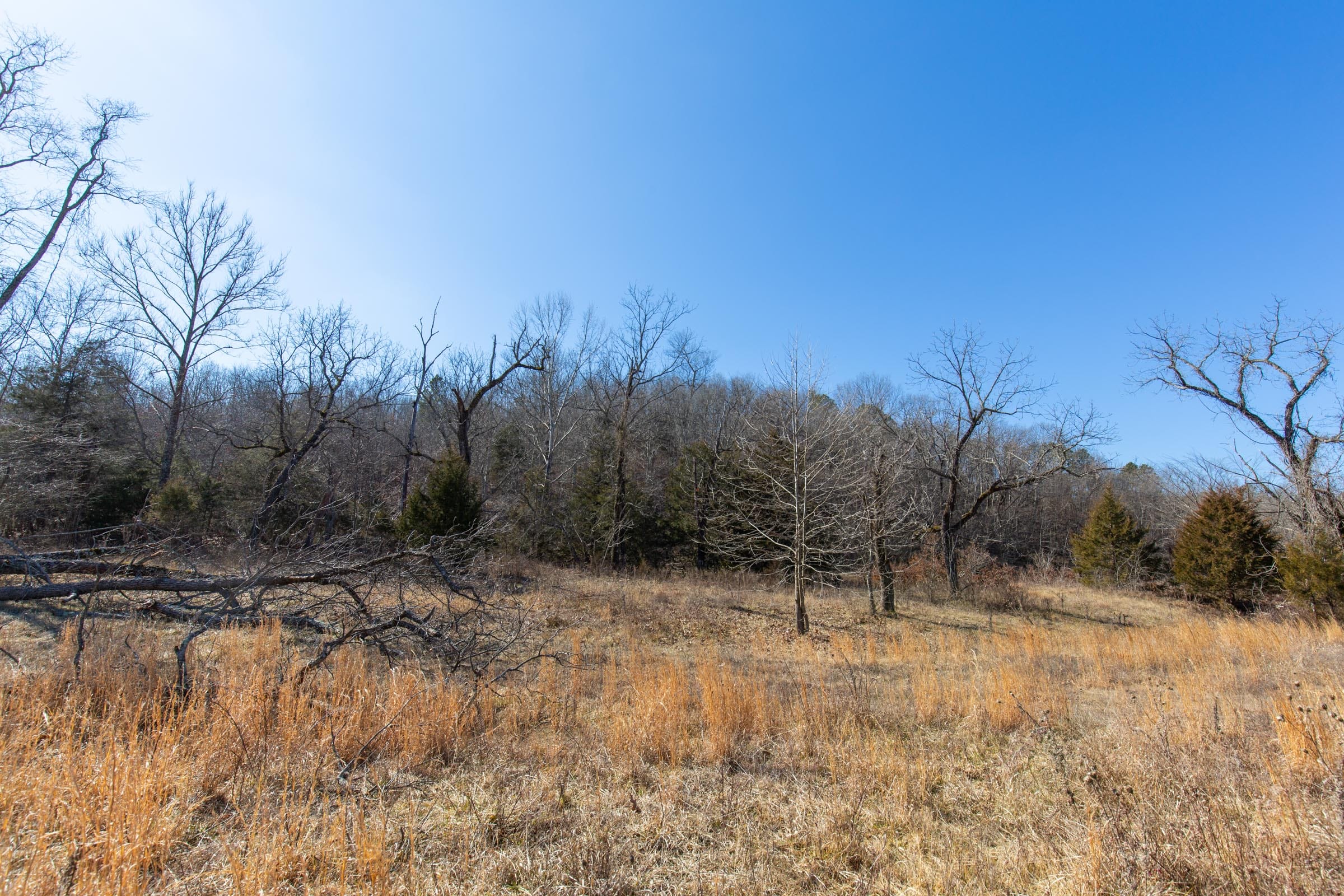 O’Connor Crossing Tract 15 photo 3
