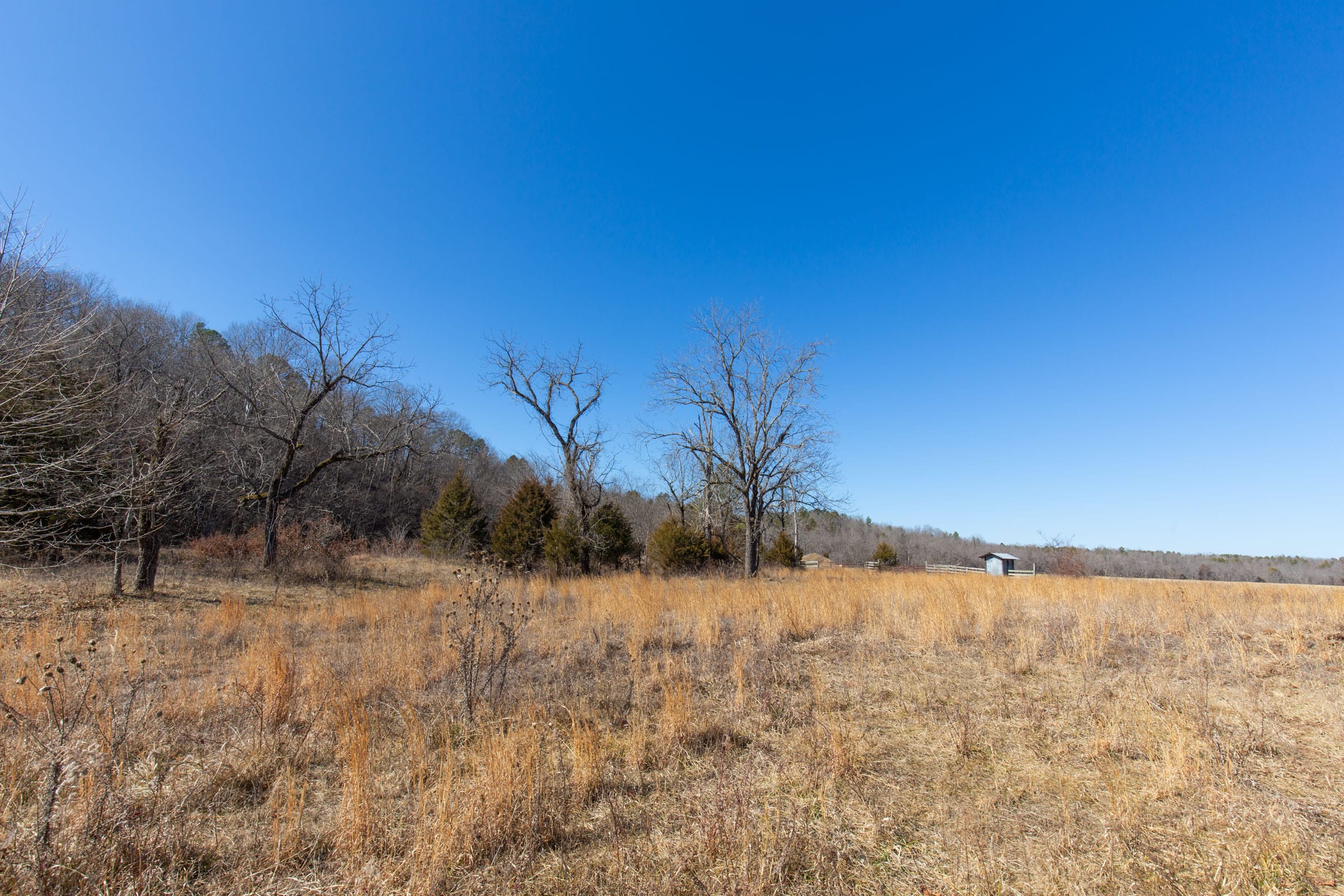 O’Connor Crossing Tract 15 photo 4