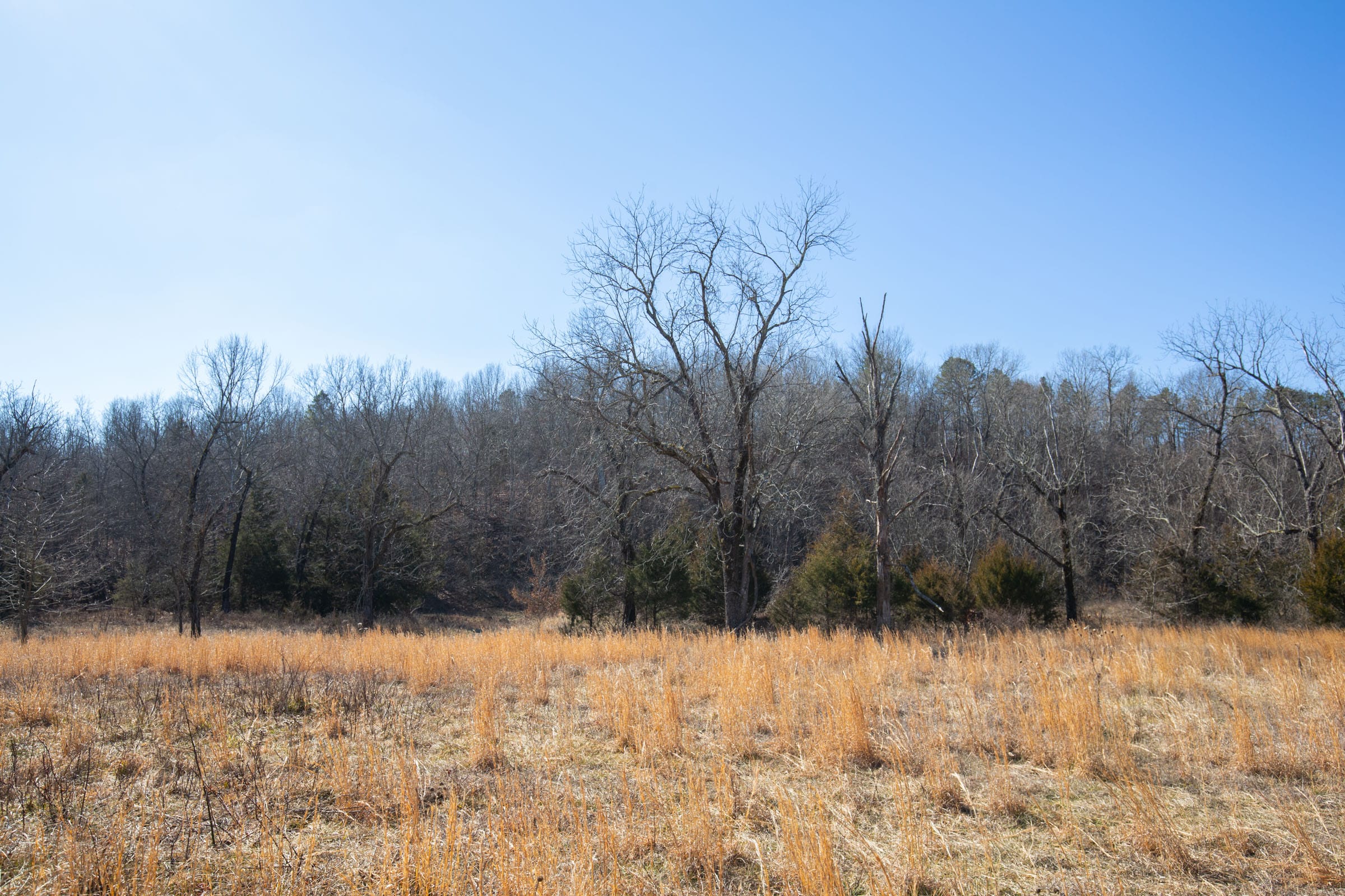 O’Connor Crossing Tract 15 photo 6
