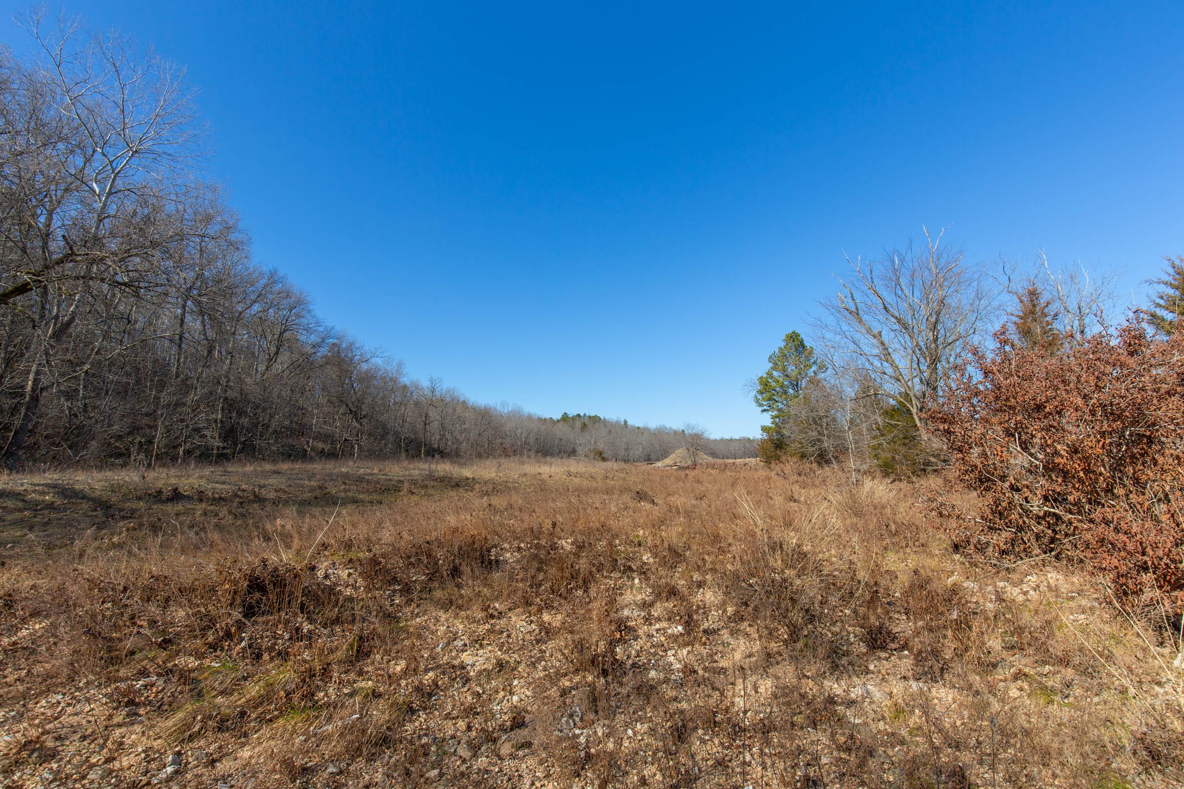 O’Connor Crossing Tract 15 photo 8