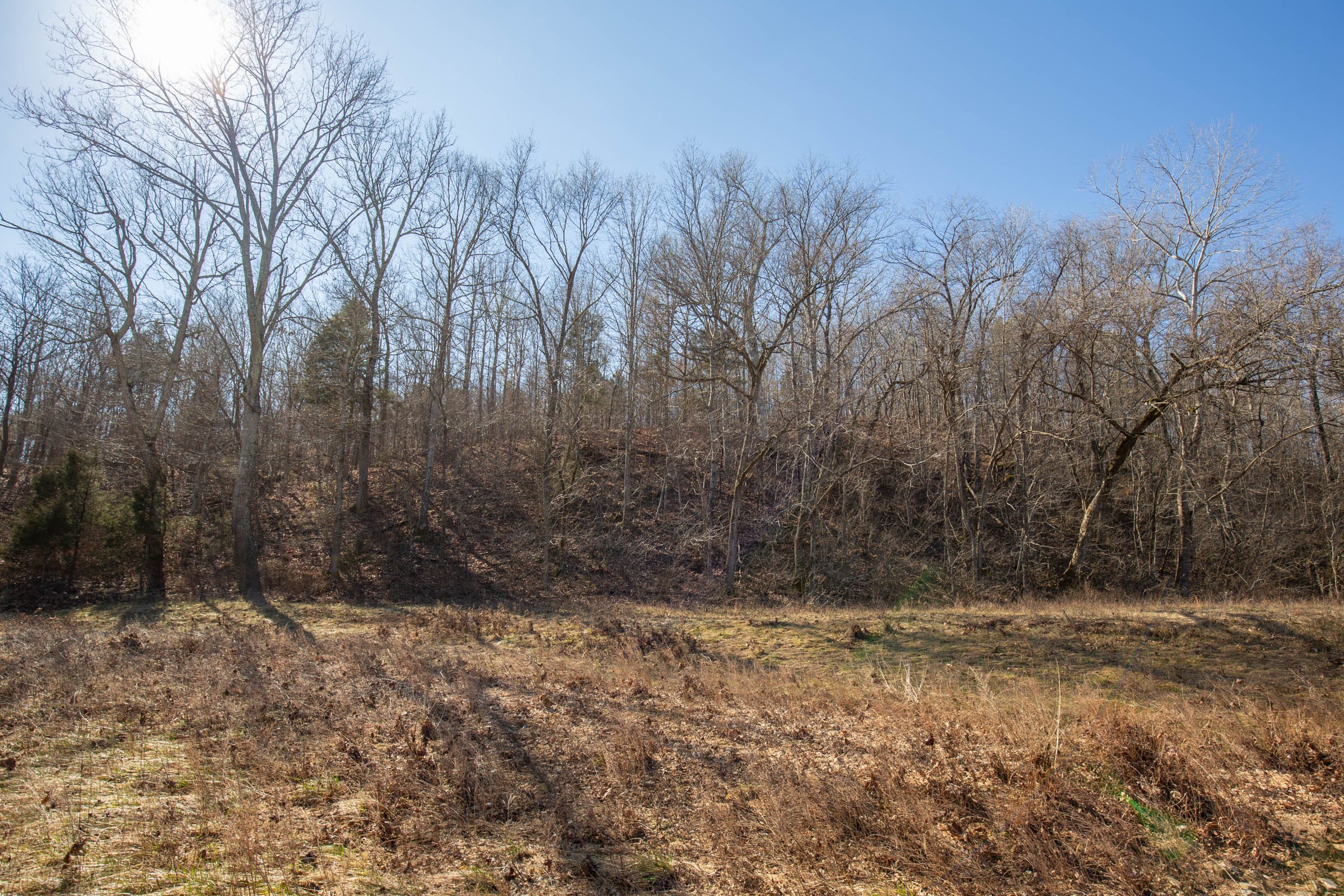 O’Connor Crossing Tract 15 photo 9