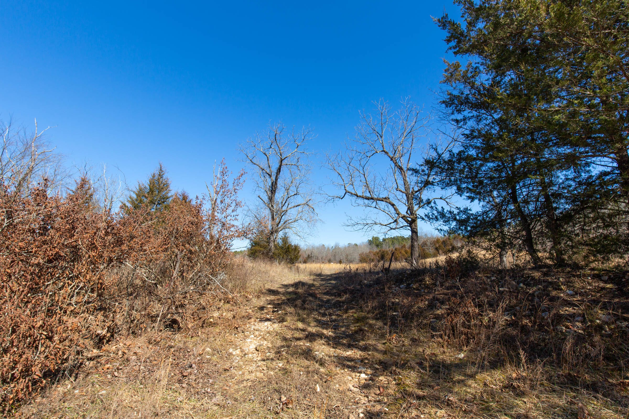 O’Connor Crossing Tract 15 photo 10