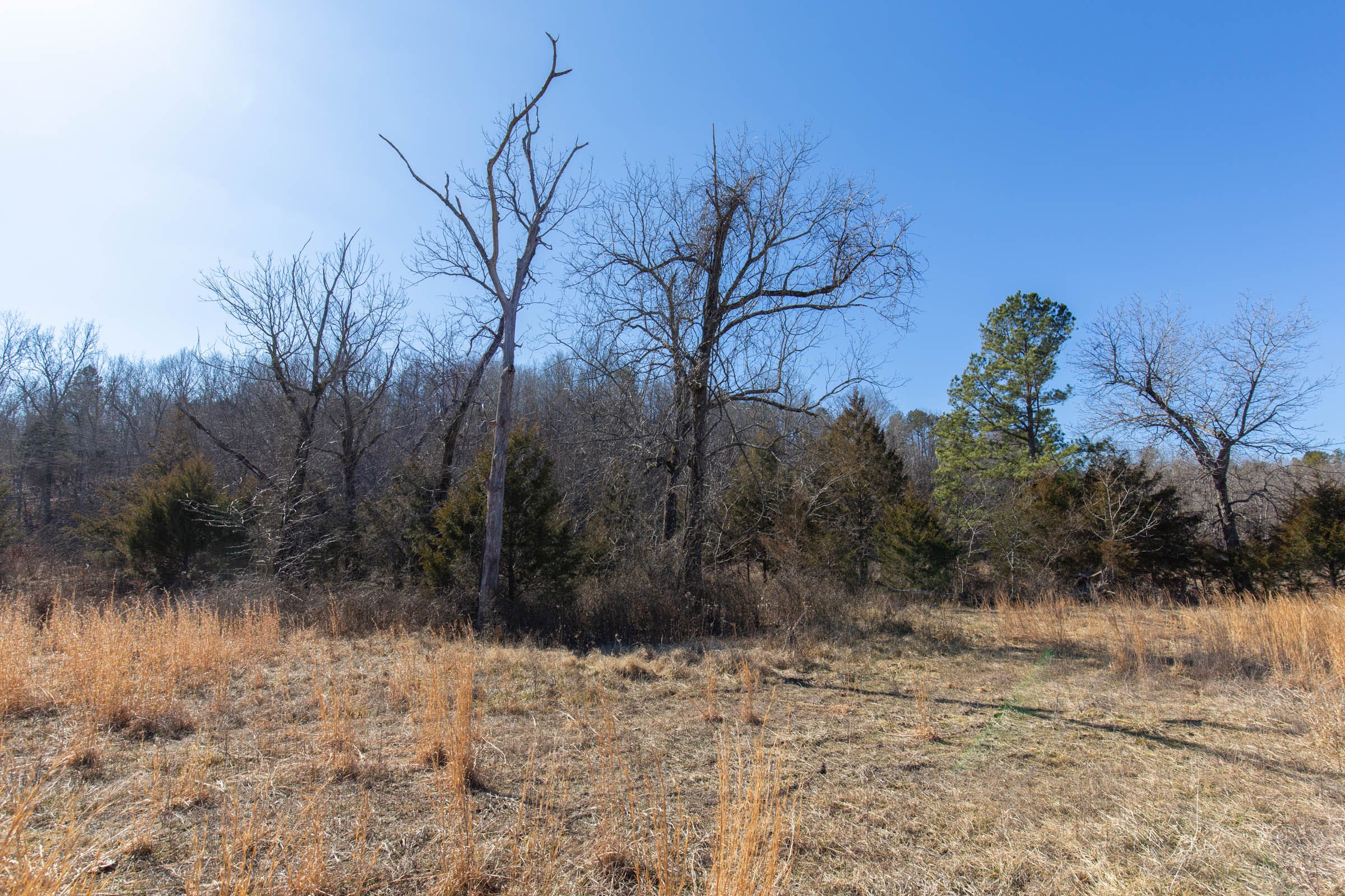 O’Connor Crossing Tract 15 photo 11