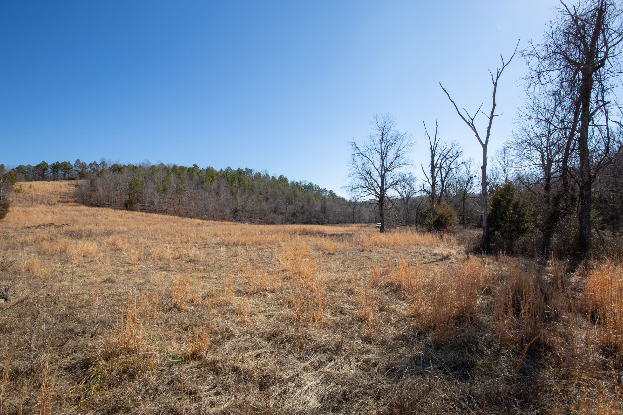 O’Connor Crossing Tract 15 photo 17
