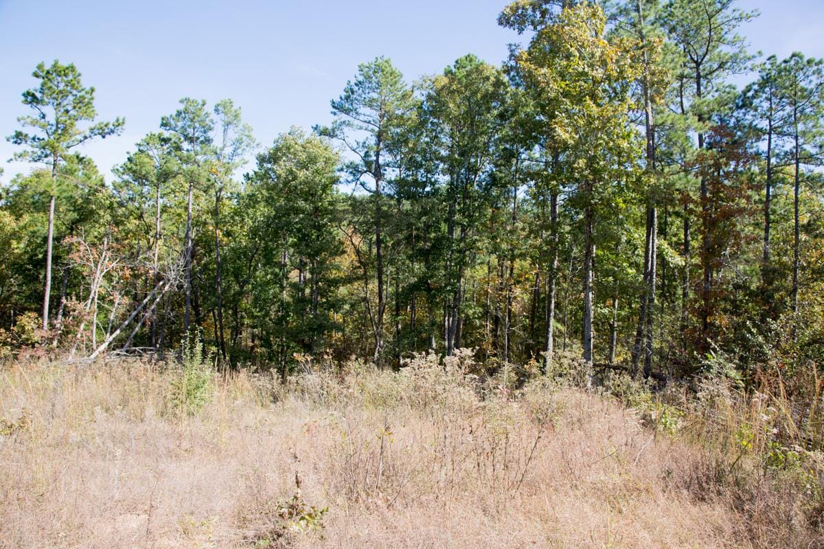 Stone Creek Phase I Tract 144 photo 2