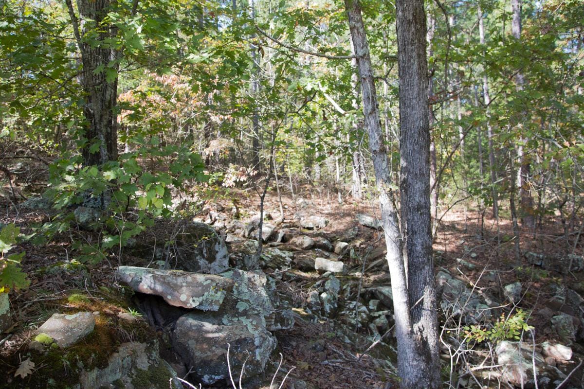 Stone Creek Phase I Tract 144 photo 6