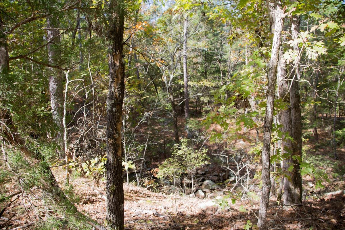 Stone Creek Phase I Tract 144 photo 9