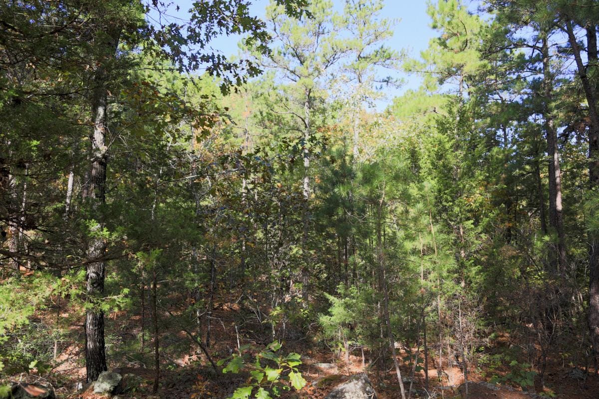 Stone Creek Phase I Tract 144 photo 11