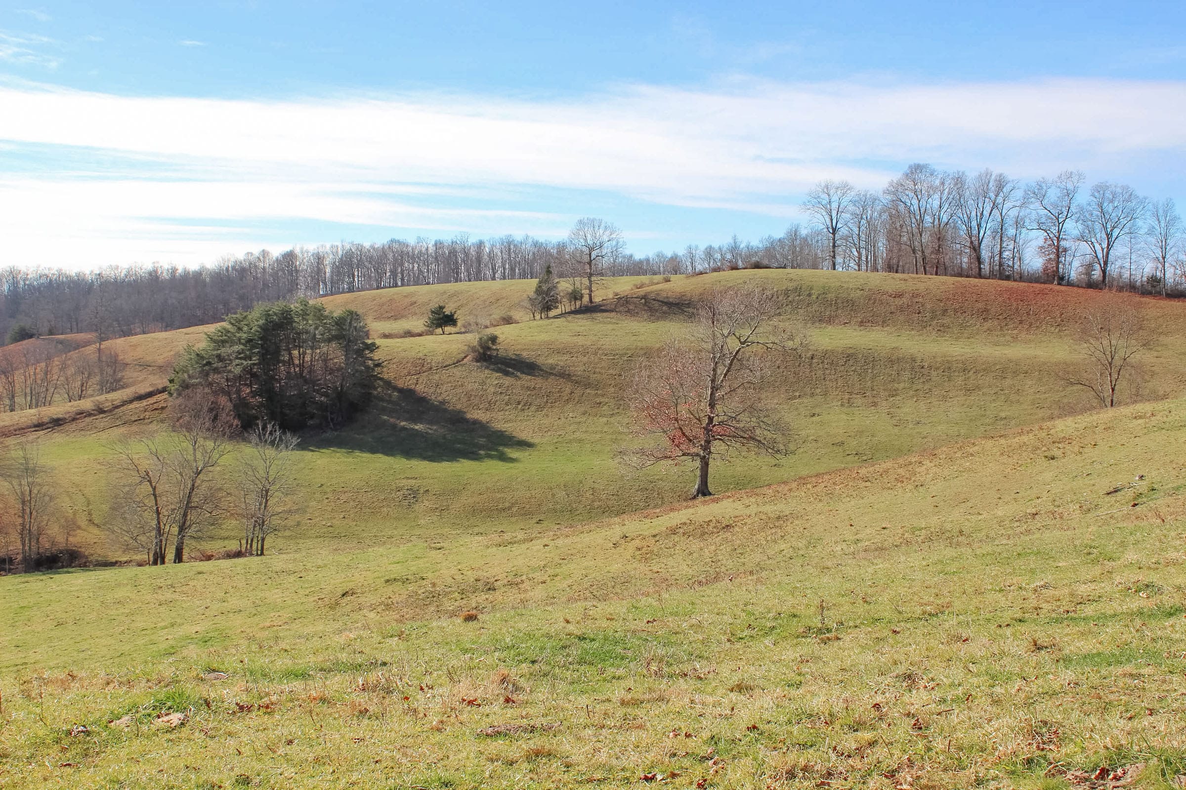 Serenity Creek Tract 5 photo 3