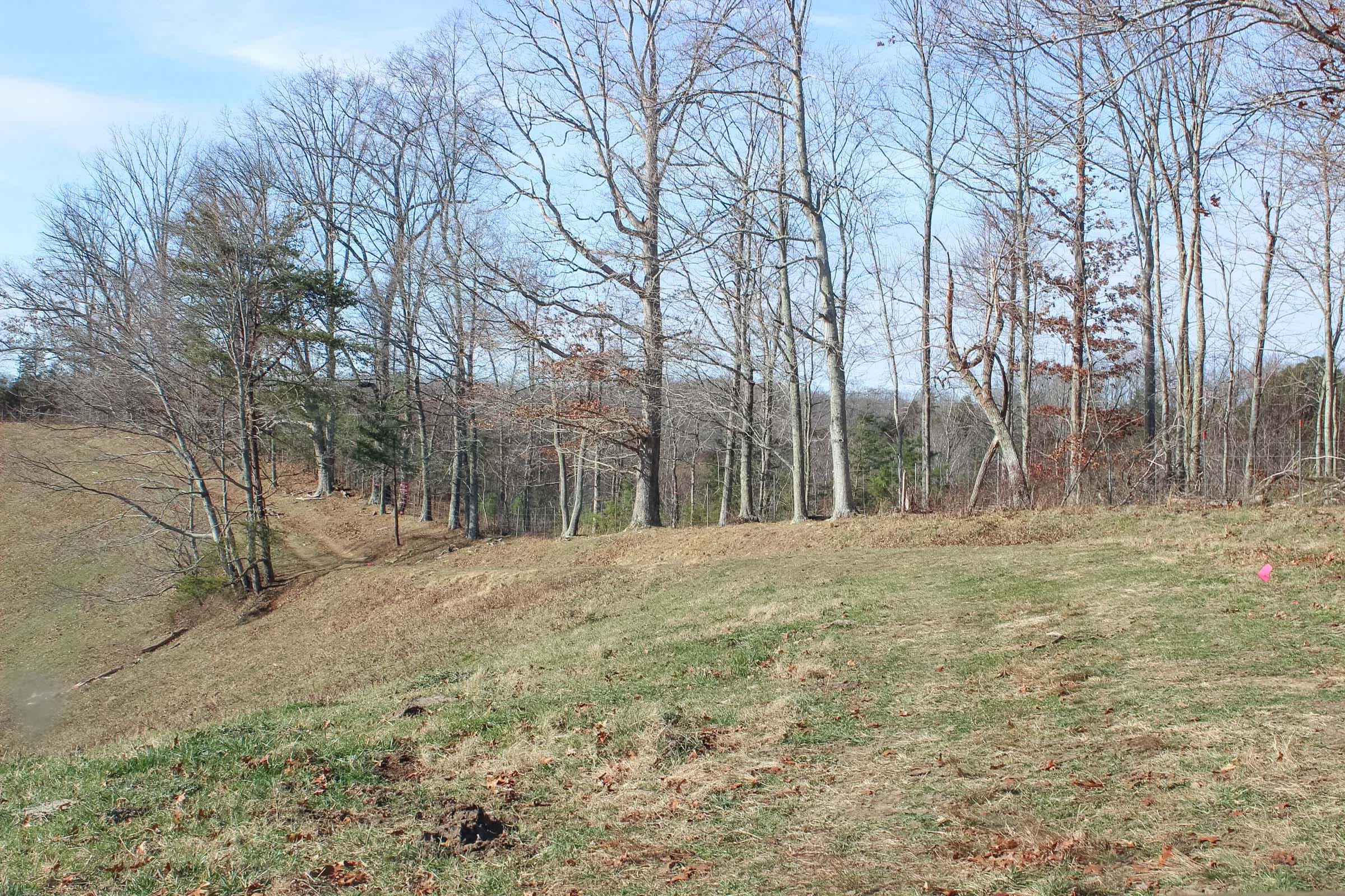 Serenity Creek Tract 5 photo 4