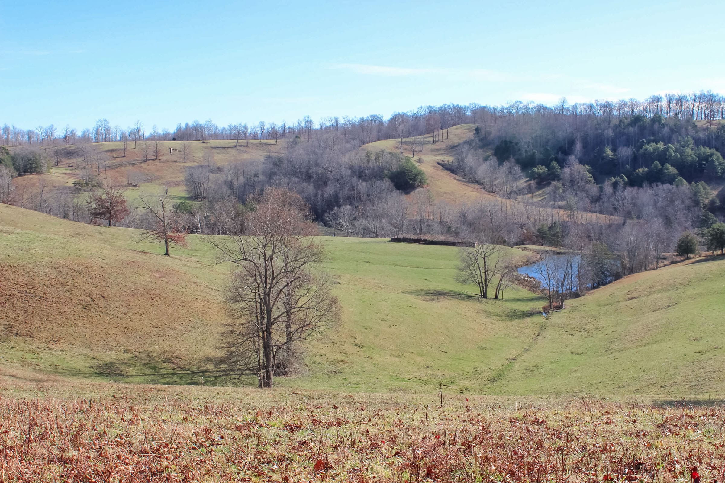 Serenity Creek Tract 5 photo 5