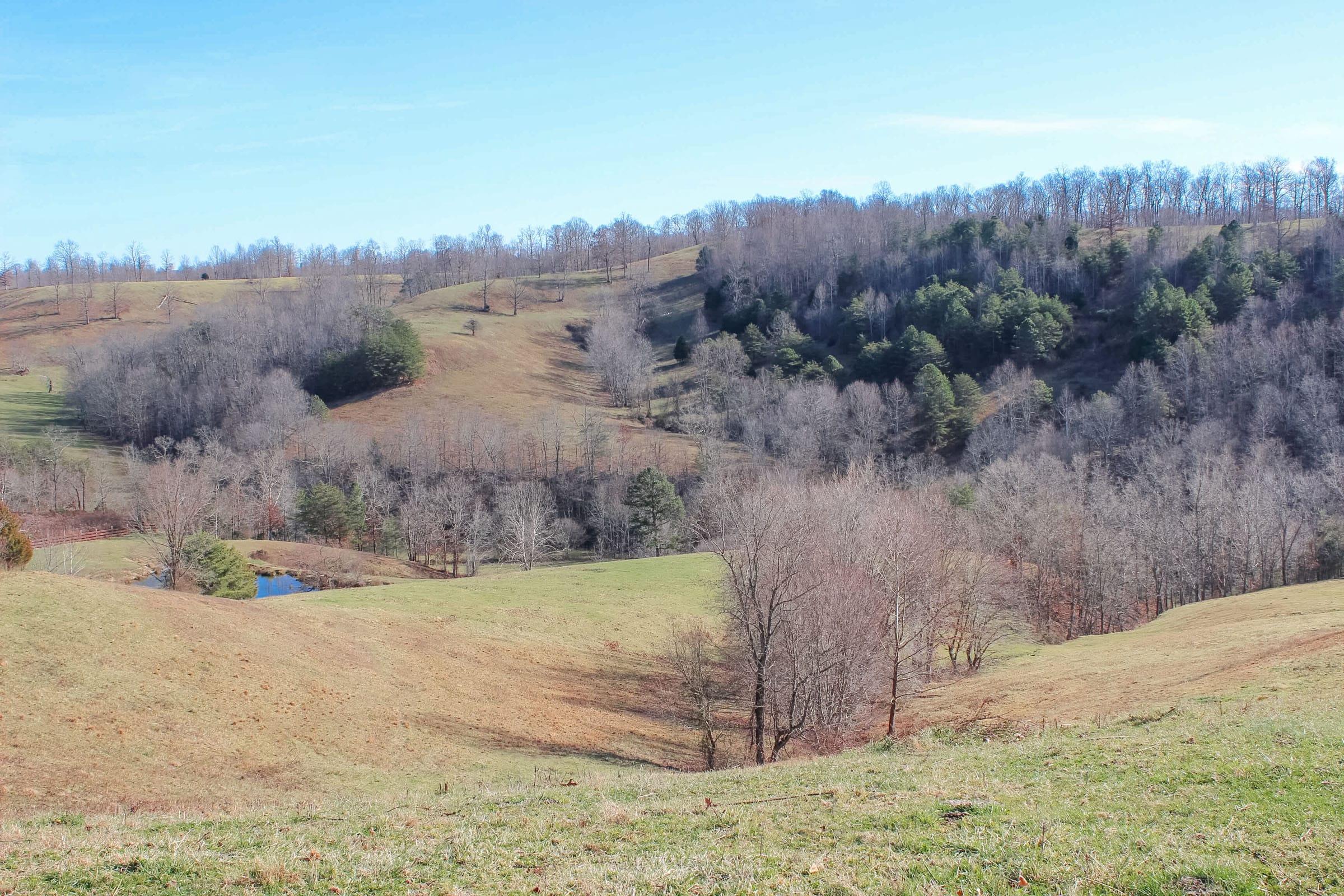 Serenity Creek Tract 5 photo 6