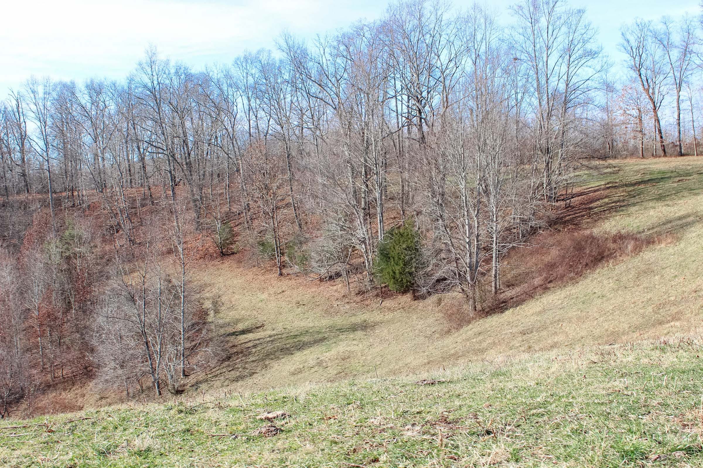 Serenity Creek Tract 5 photo 8