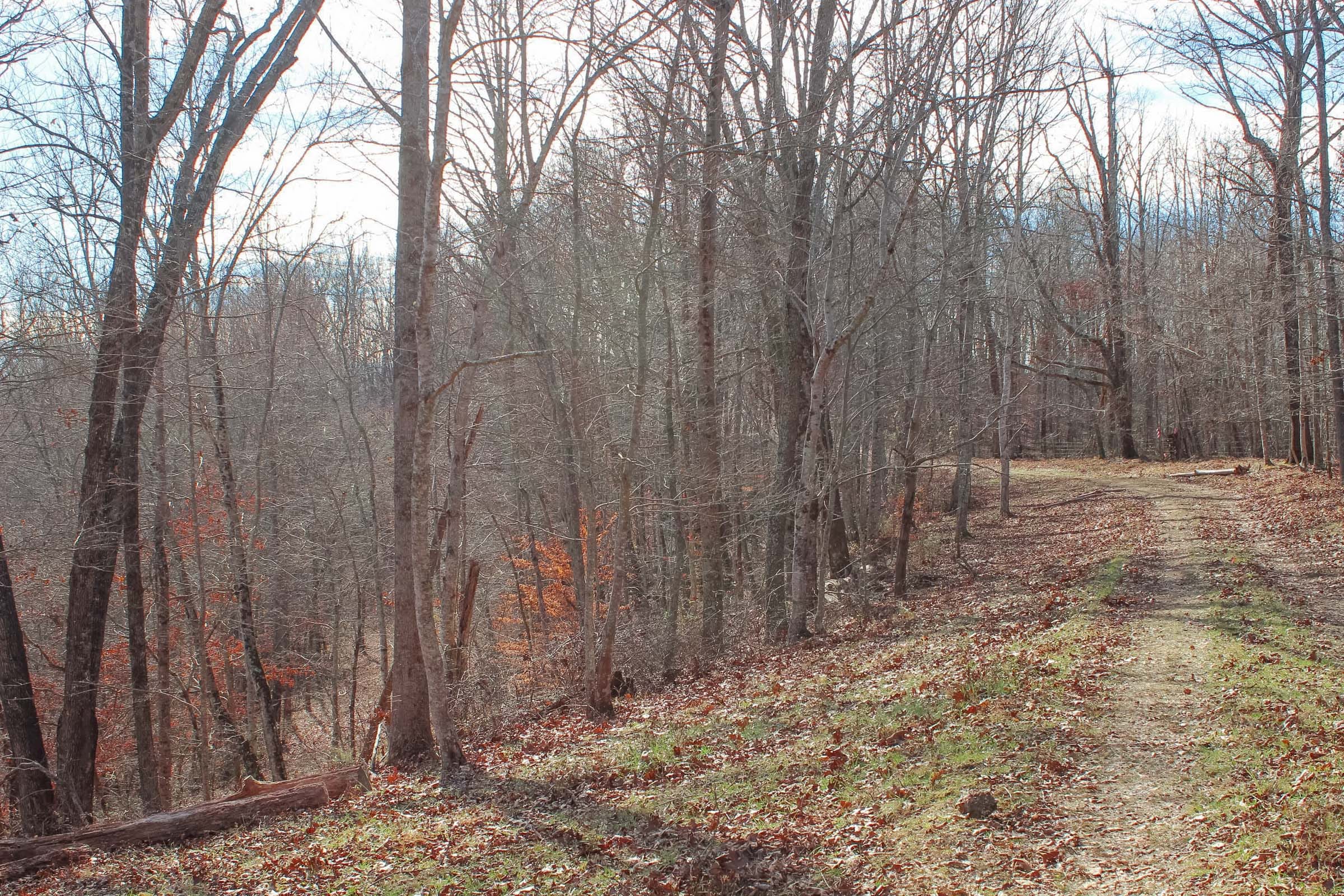 Serenity Creek Tract 5 photo 9