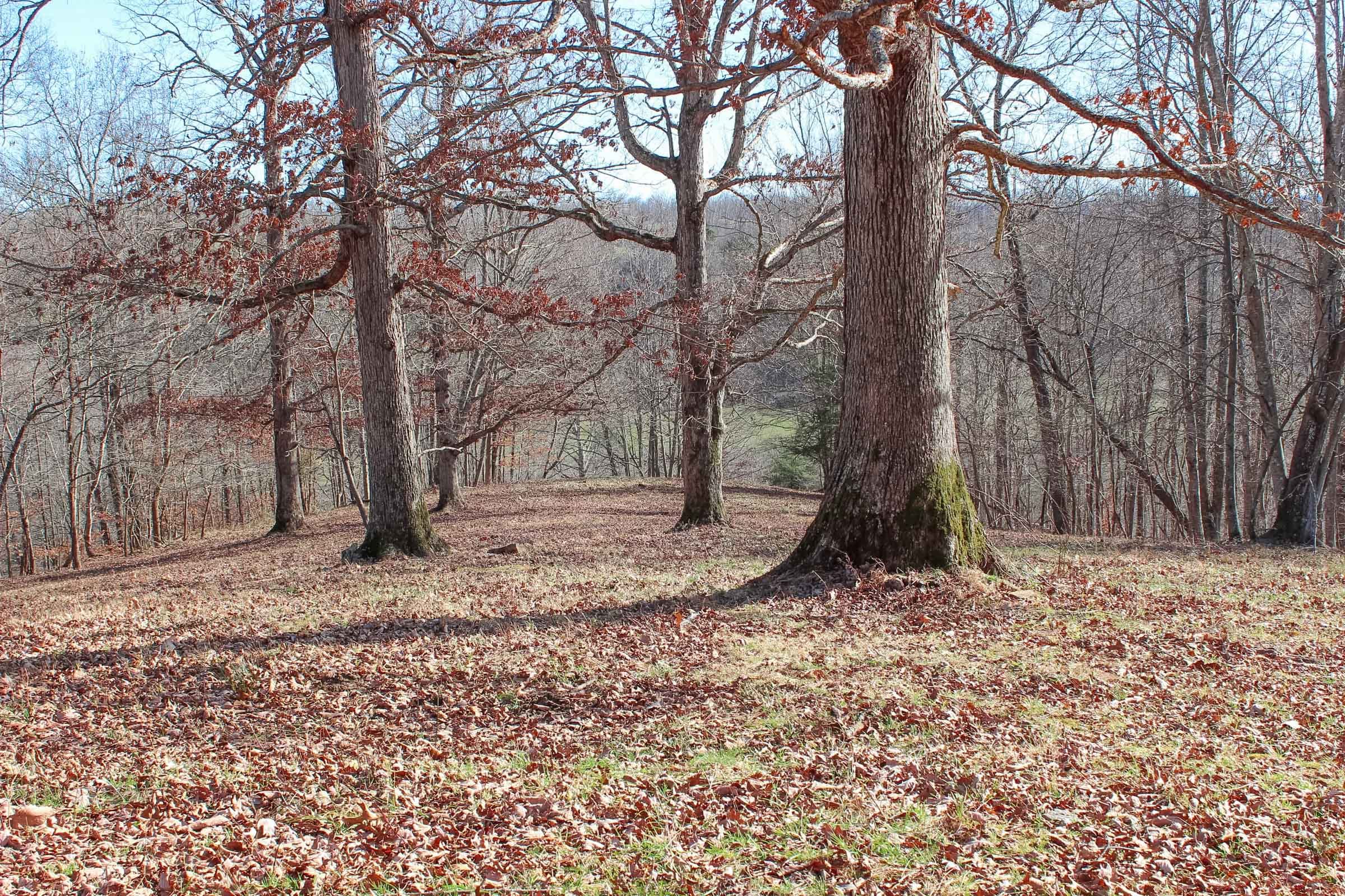 Serenity Creek Tract 5 photo 10