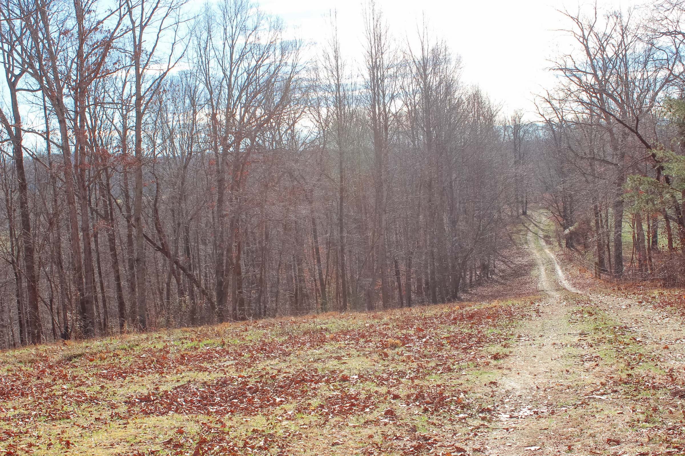 Serenity Creek Tract 5 photo 11