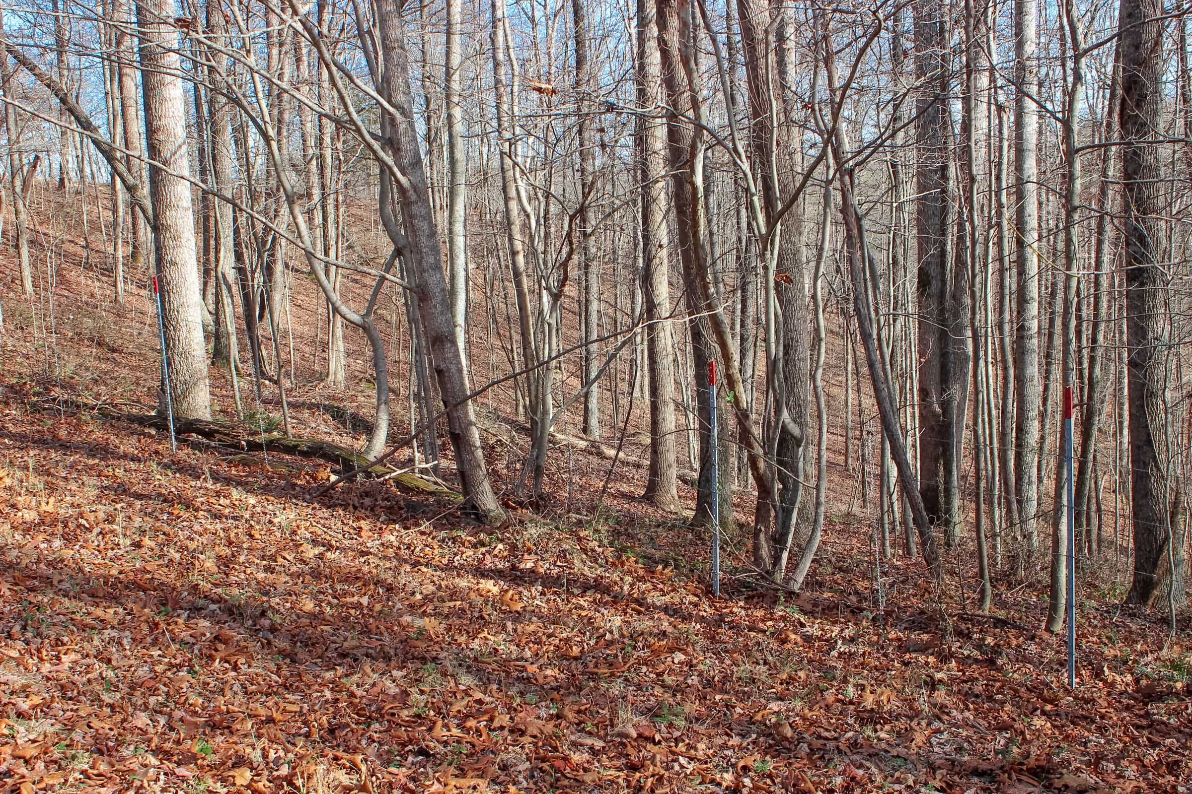 Serenity Creek Tract 5 photo 12